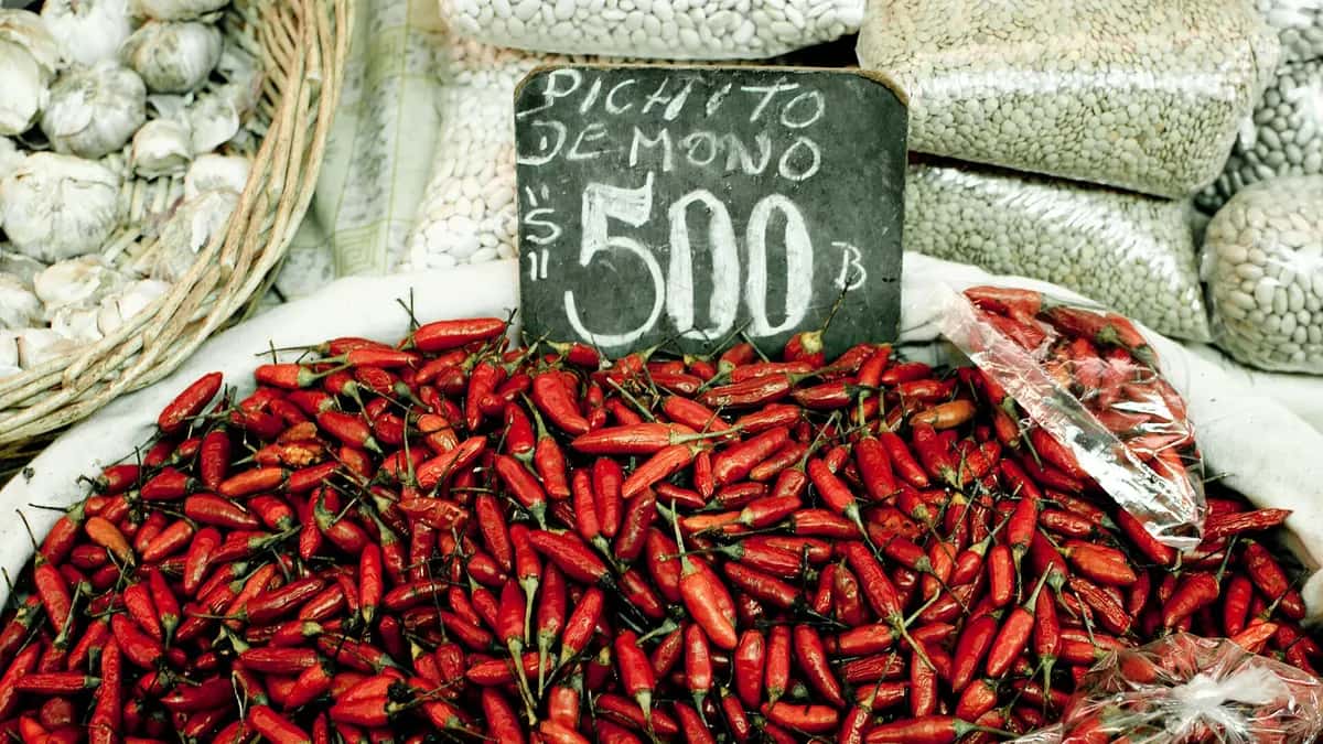 Inflación en Chile: el ranking de los últimos 50 años, del 211,9% de 1976 al 0,4% de 2009