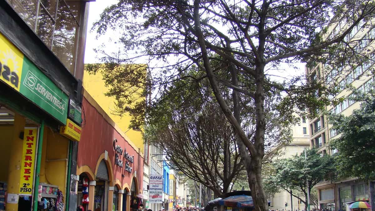 Carrera Séptima en el centro de Bogotá