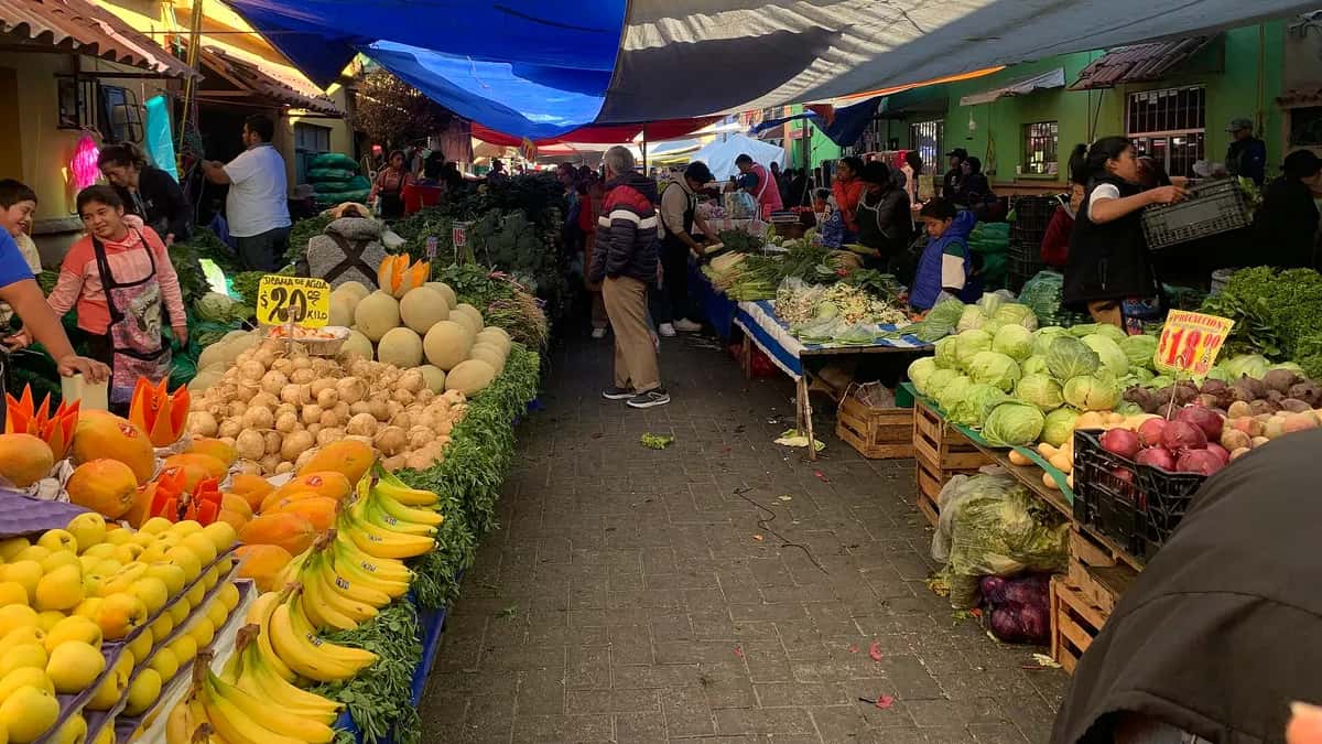 Puestos de frutas y verduras en un tianguis mexicano