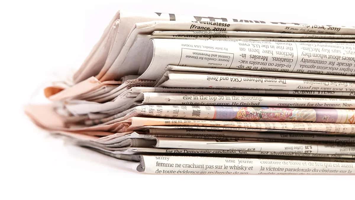 ESBUENISIMO LINKS: cómo funciona la plataforma chilena de link building con más de 1.400 medios