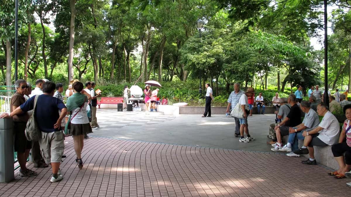 Pessoas idosas reunidas em uma praça