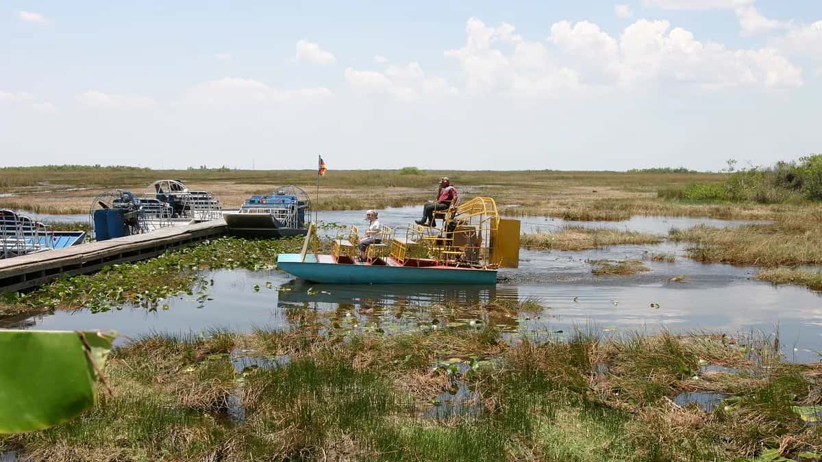 Aerobarcos em uma área alagada dos Everglades, na Flórida