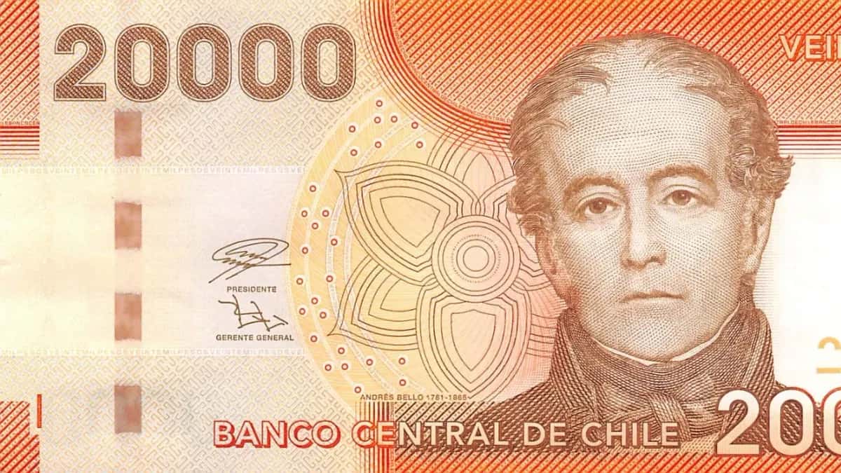 Chilean 20,000 peso banknote