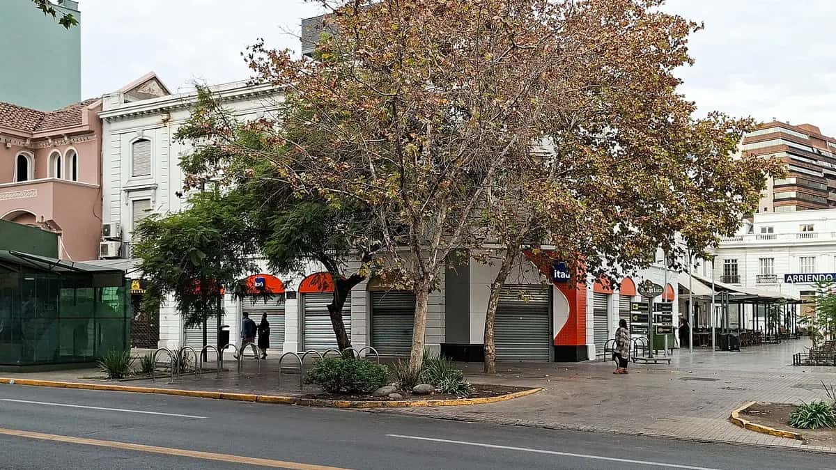 Calle arbolada con edificios de departamentos en Providencia, Santiago