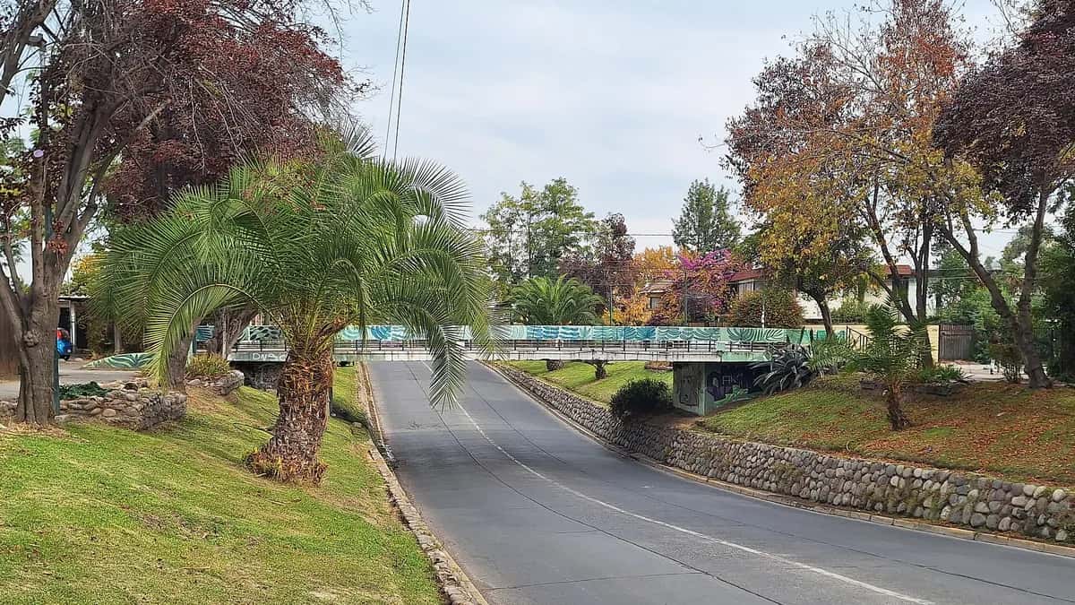 Avenida arbolada con un puente peatonal en la comuna de Ñuñoa, Santiago