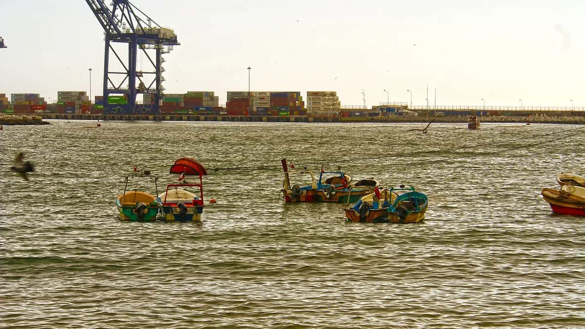 Grúas y contenedores en el puerto de San Antonio