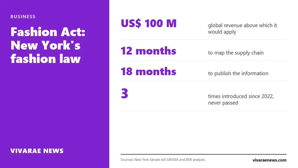 New York's Fashion Act would force fashion brands with more than 100 million dollars in revenue to map their supply chains and cut emissions. What it proposes and where it stands.