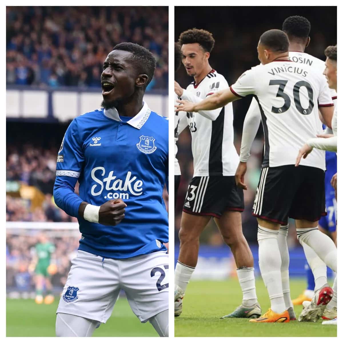 Everton FC vs Fulham Statistics